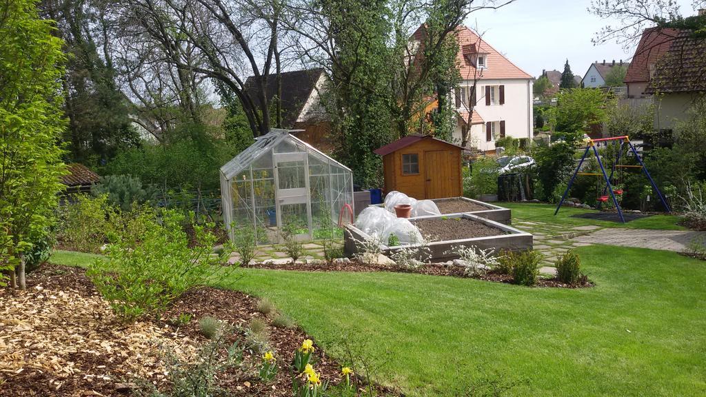 Gite Des Merles Mittelwihr Luaran gambar
