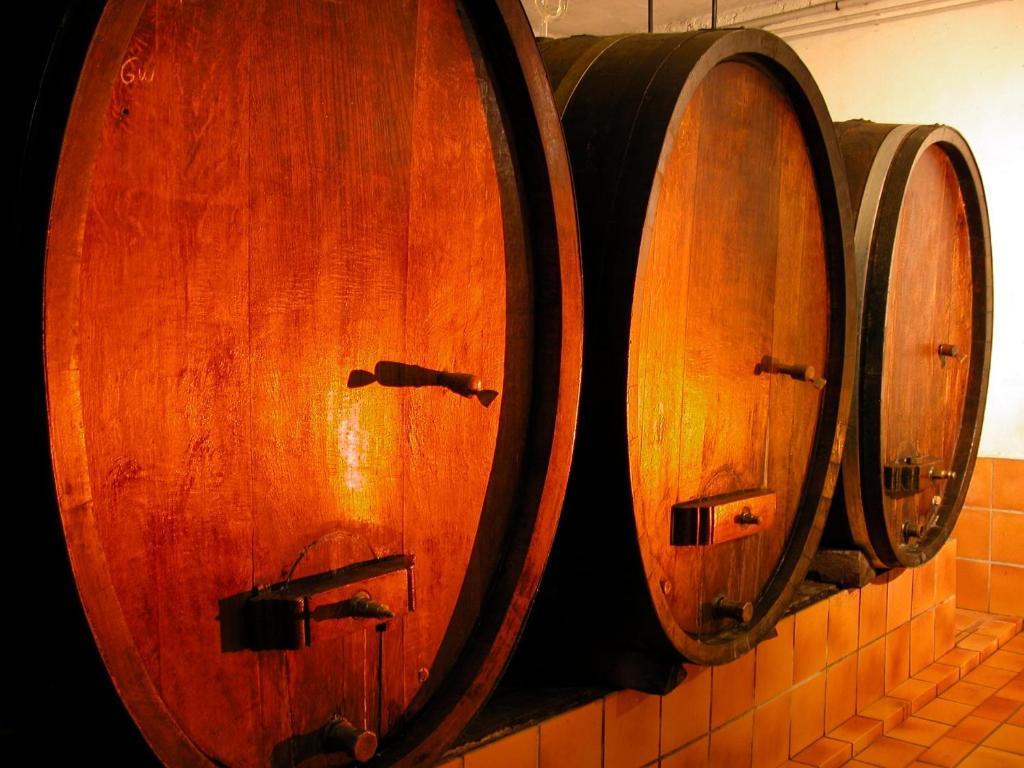 Gite Des Merles Mittelwihr Luaran gambar