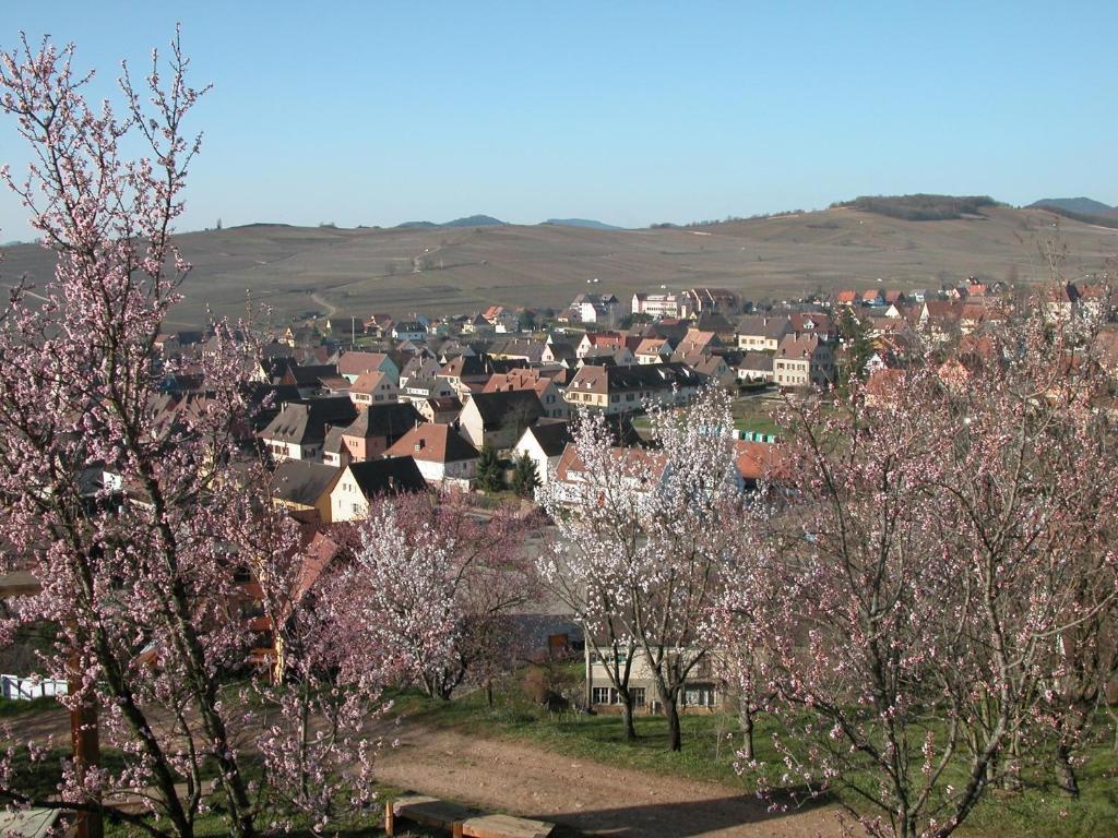 Gite Des Merles Mittelwihr Luaran gambar